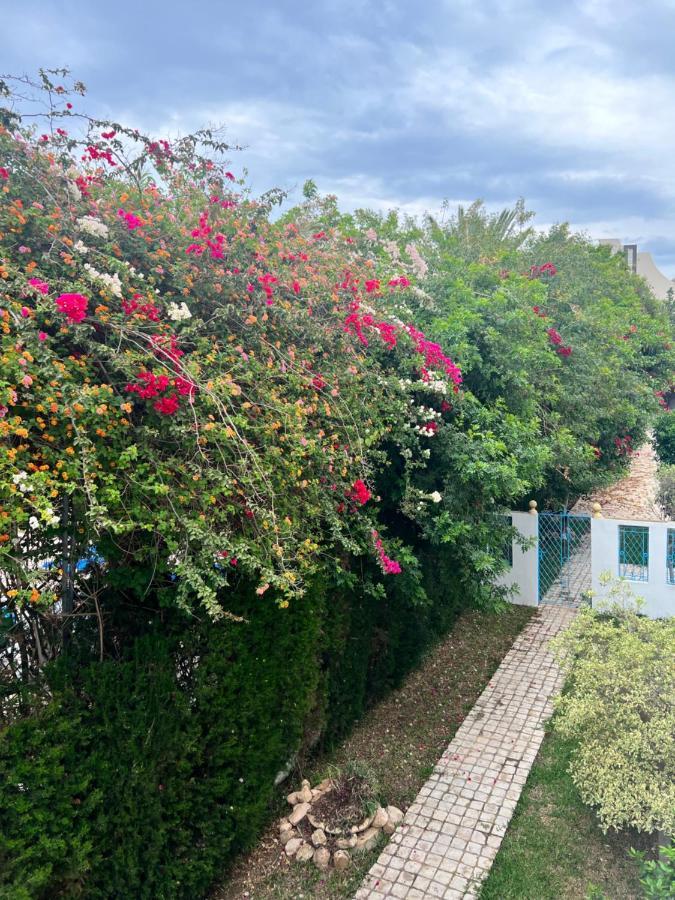 Appartement Rayhan Yasmine Hammamet Exterior foto